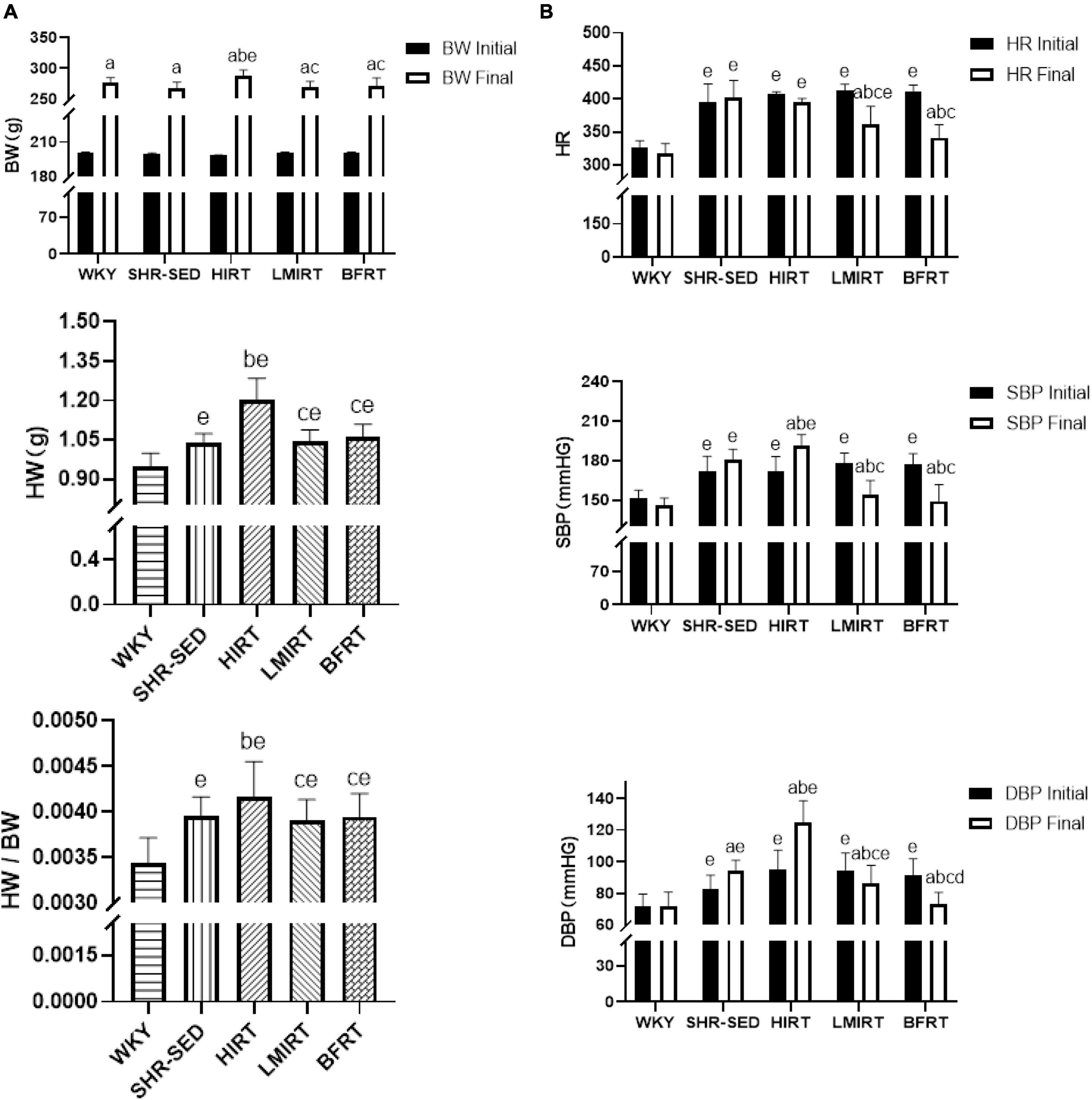 Effect of blood flow–restricted resistance training on myocardial fibrosis in early spontaneously hypertensive rats